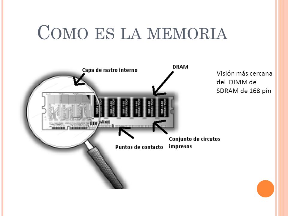 Como es la memoria Visión más cercana del DIMM de SDRAM de 168 pin