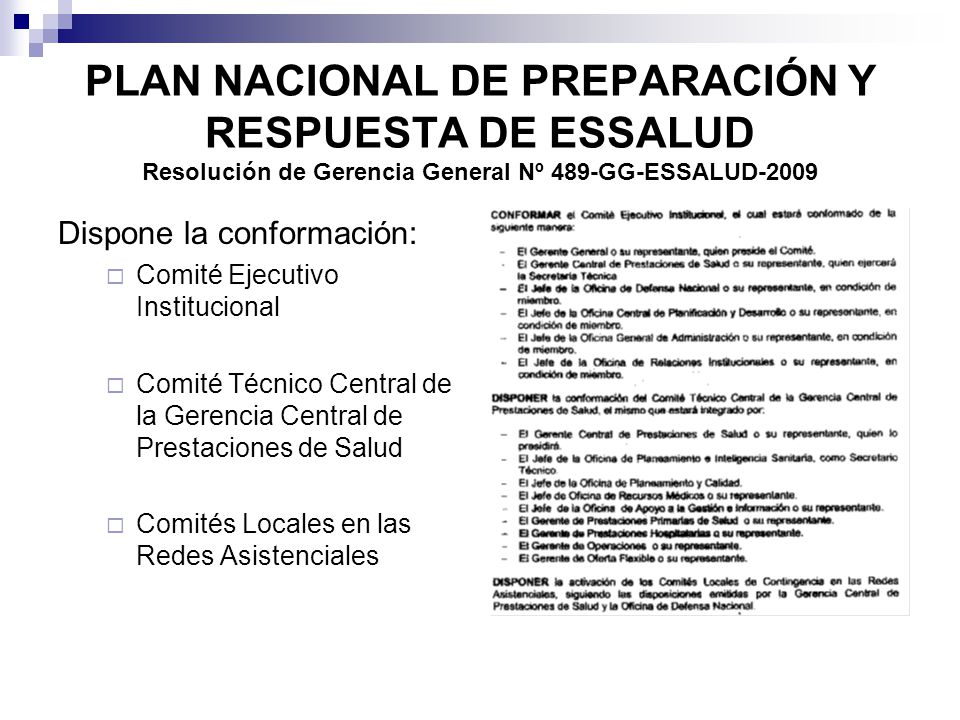 PLAN NACIONAL DE PREPARACIÓN Y RESPUESTA DE ESSALUD Resolución de Gerencia General Nº 489-GG-ESSALUD-2009