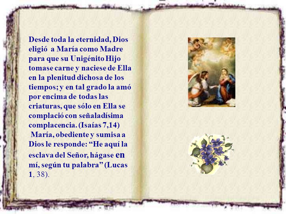 Desde toda la eternidad, Dios eligió a María como Madre para que su Unigénito Hijo tomase carne y naciese de Ella en la plenitud dichosa de los tiempos; y en tal grado la amó por encima de todas las criaturas, que sólo en Ella se complació con señaladísima complacencia. (Isaías 7,14)