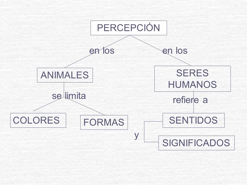 PERCEPCIÓN en los. en los. SERES HUMANOS. ANIMALES. se limita. refiere a. COLORES. SENTIDOS.