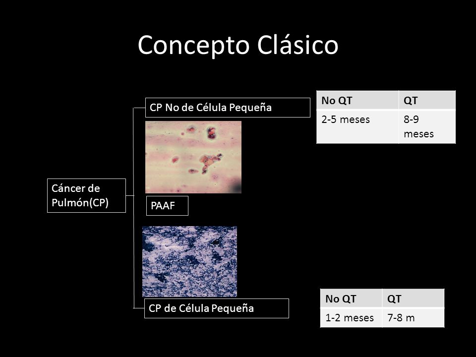 Concepto Clásico No QT QT 2-5 meses 8-9 meses CP No de Célula Pequeña