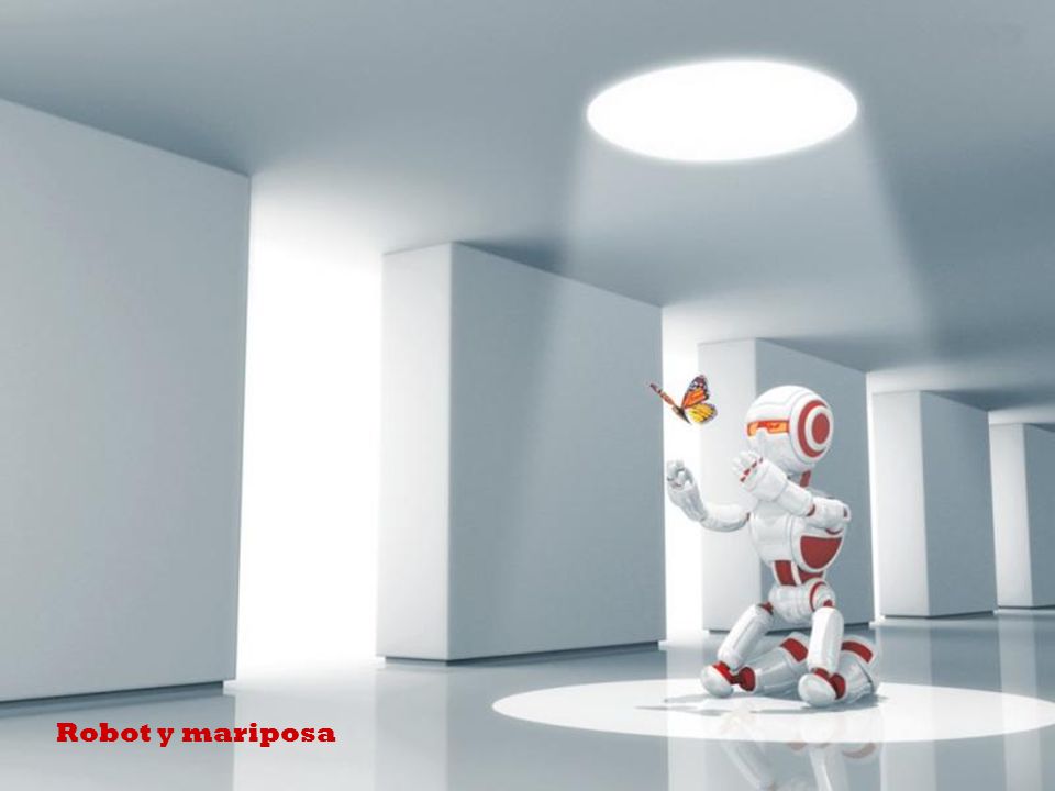 Robot y mariposa