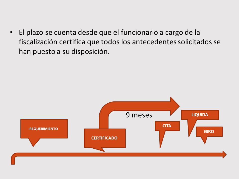 El plazo se cuenta desde que el funcionario a cargo de la fiscalización certifica que todos los antecedentes solicitados se han puesto a su disposición.
