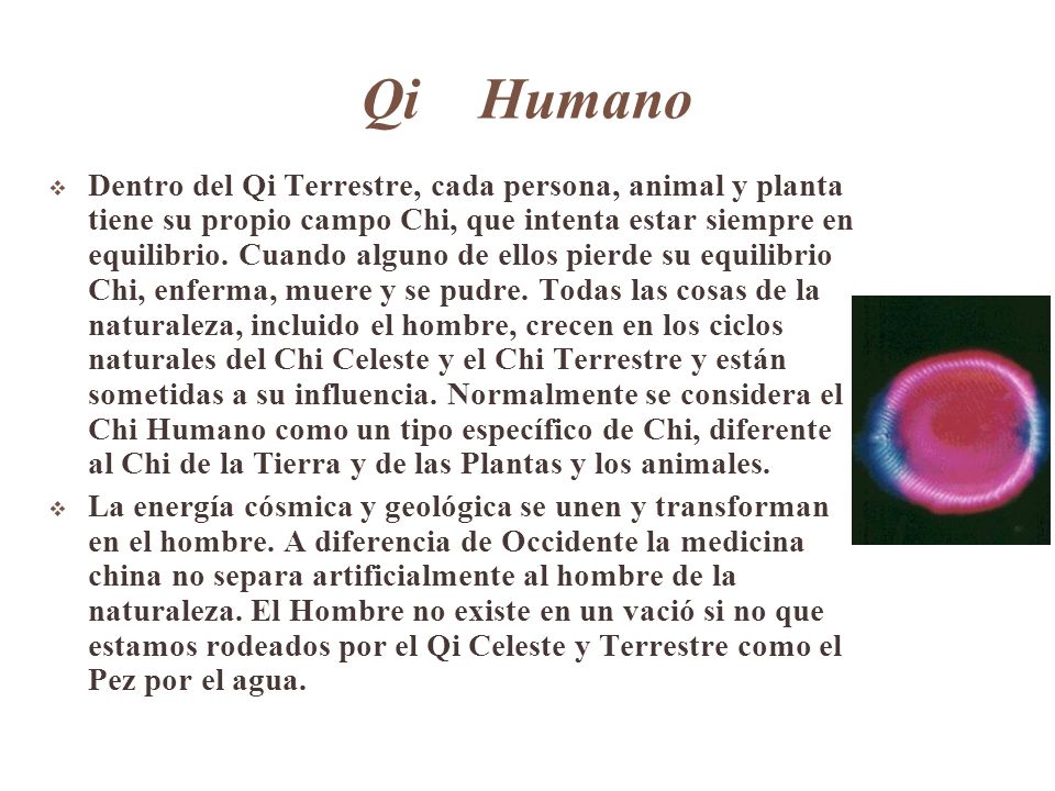 Qi Humano