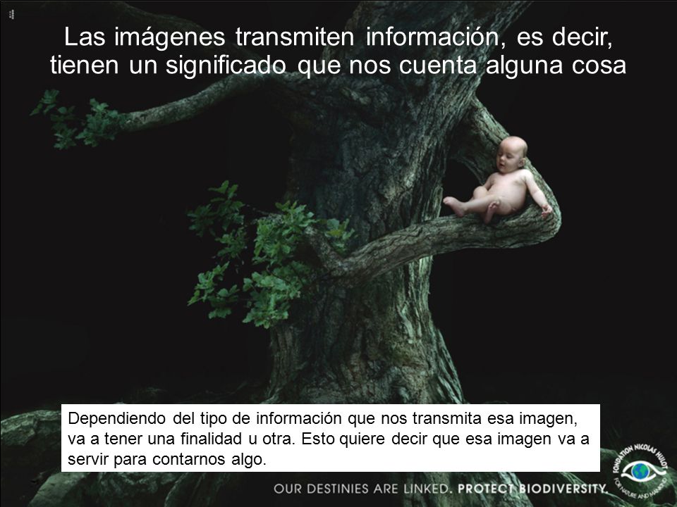 Las imágenes transmiten información, es decir, tienen un significado que nos cuenta alguna cosa