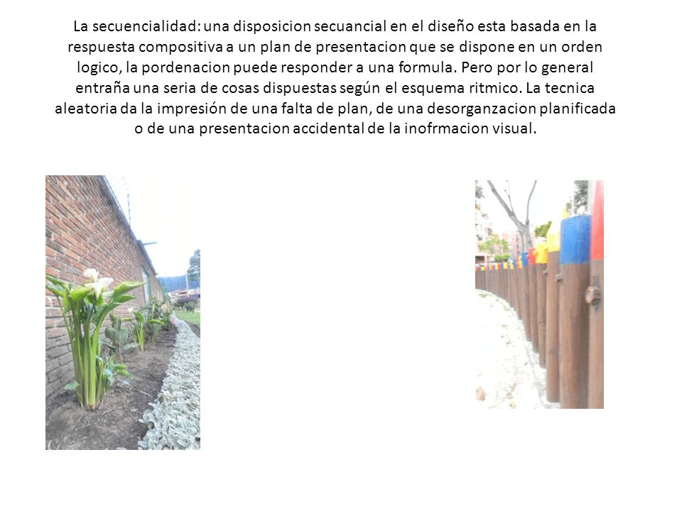 La secuencialidad: una disposicion secuancial en el diseño esta basada en la respuesta compositiva a un plan de presentacion que se dispone en un orden logico, la pordenacion puede responder a una formula.