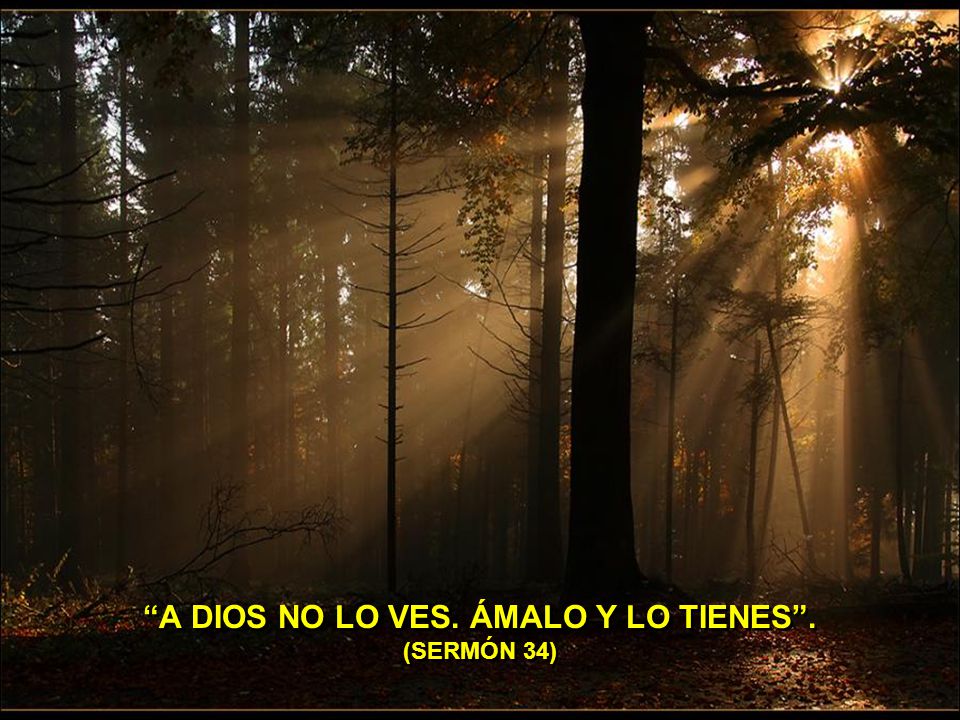A DIOS NO LO VES. ÁMALO Y LO TIENES . (SERMÓN 34)