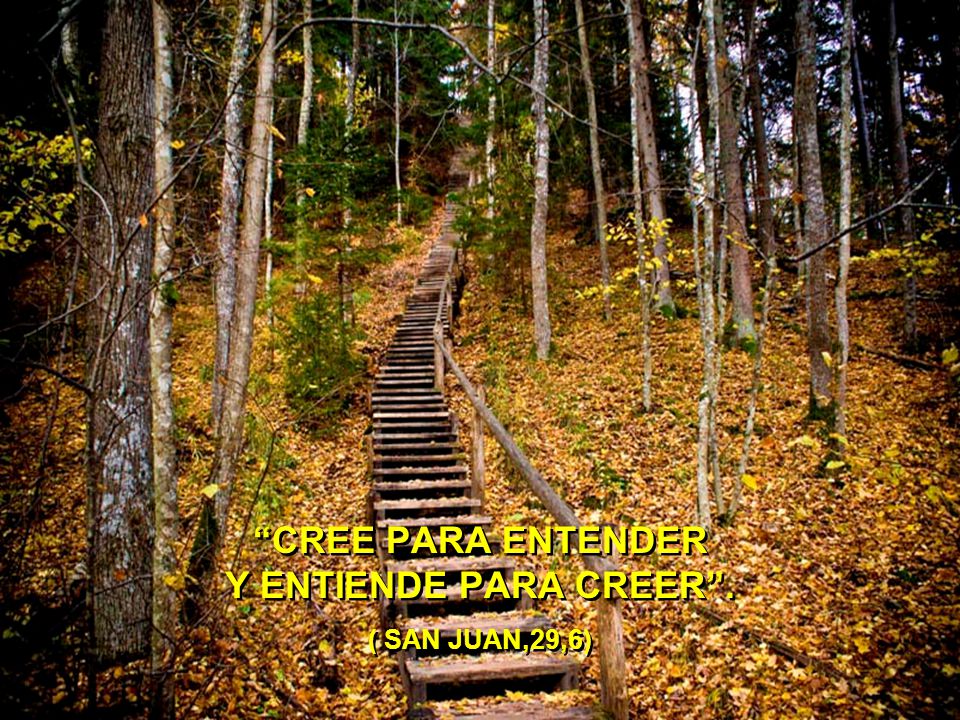 CREE PARA ENTENDER Y ENTIENDE PARA CREER . ( SAN JUAN,29,6)