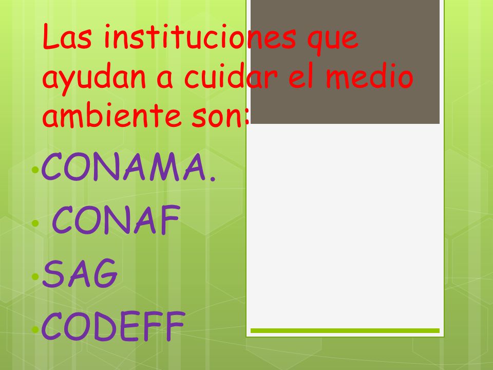 Las instituciones que ayudan a cuidar el medio ambiente son:
