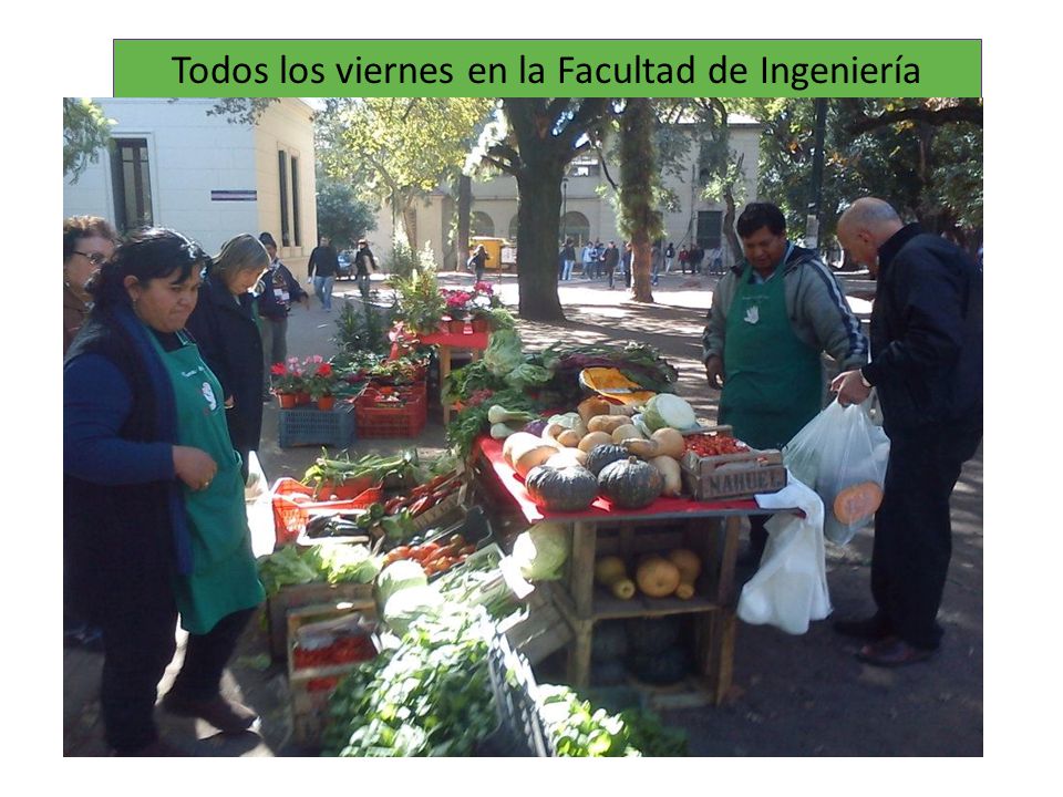 Todos los viernes en la Facultad de Ingeniería