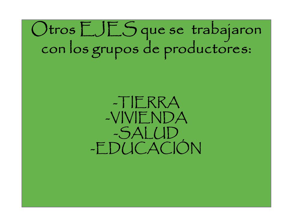 Otros EJES que se trabajaron con los grupos de productores: