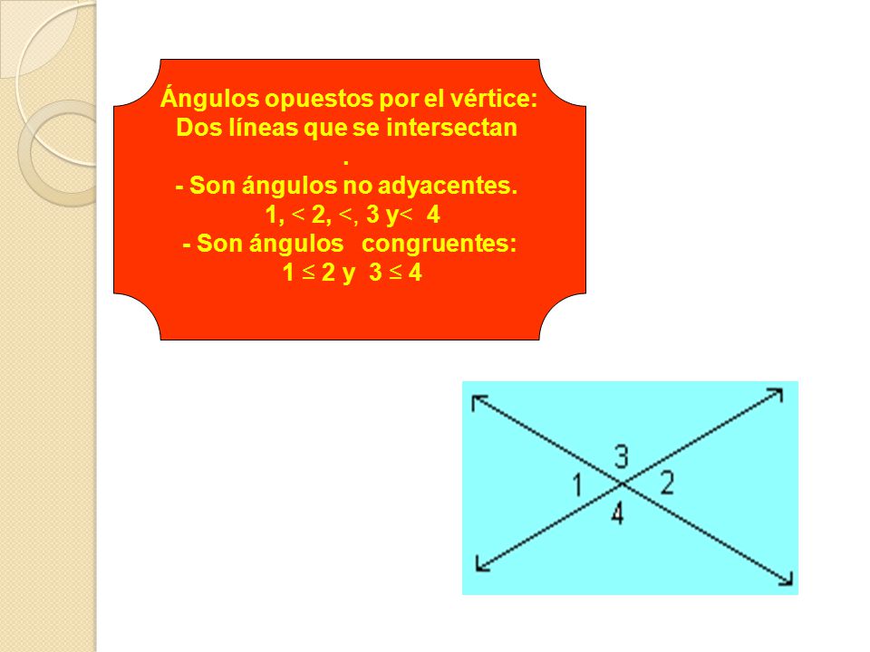 Ángulos opuestos por el vértice: Dos líneas que se intersectan .