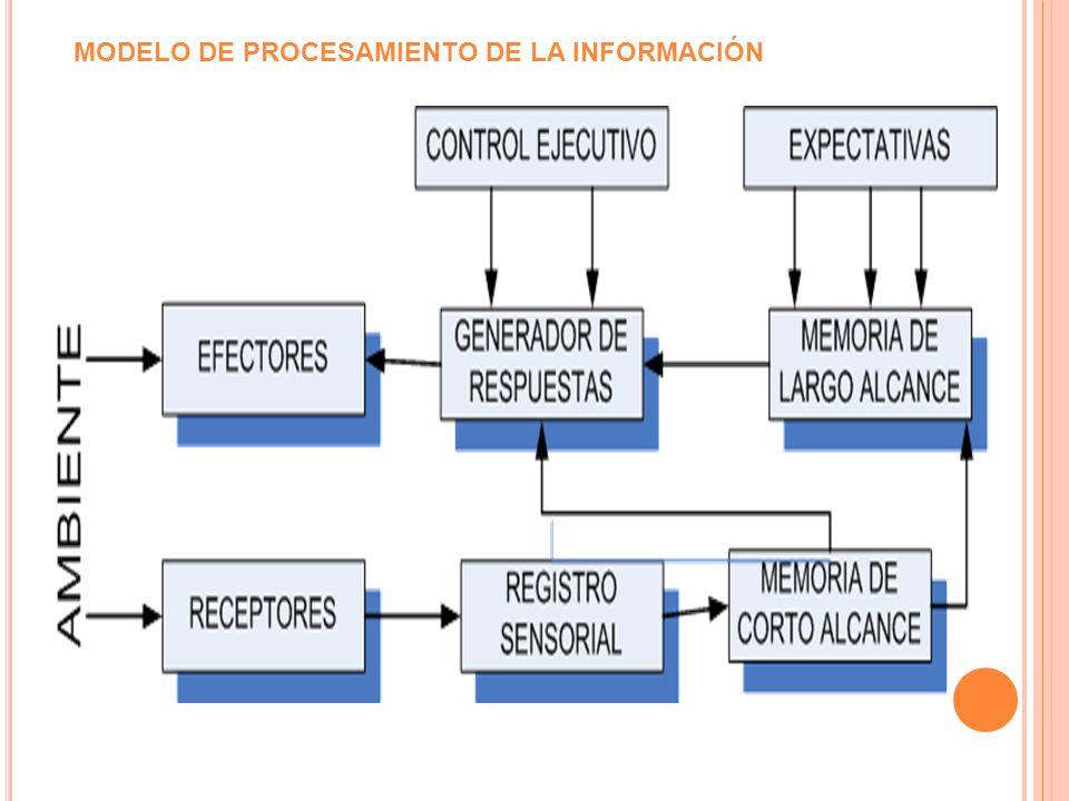 Teoría del procesamiento del la información de robert mills gagné - ppt  video online descargar