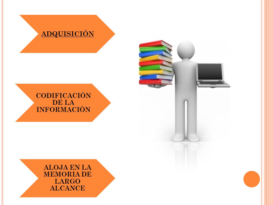 CODIFICACIÓN DE LA INFORMACIÓN ALOJA EN LA MEMORIA DE LARGO ALCANCE