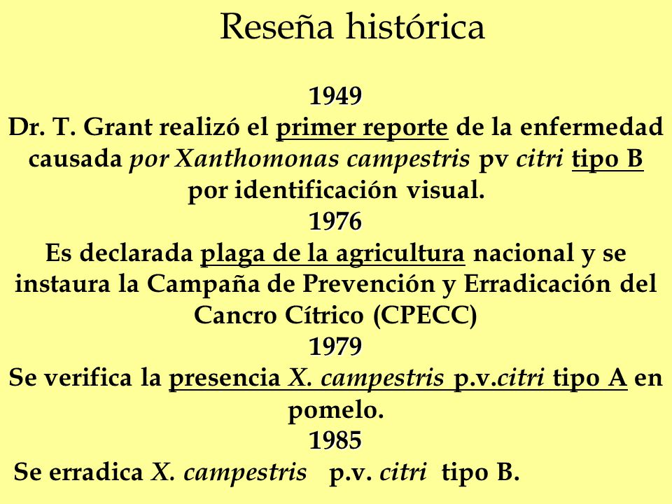 Se verifica la presencia X. campestris p.v.citri tipo A en pomelo.