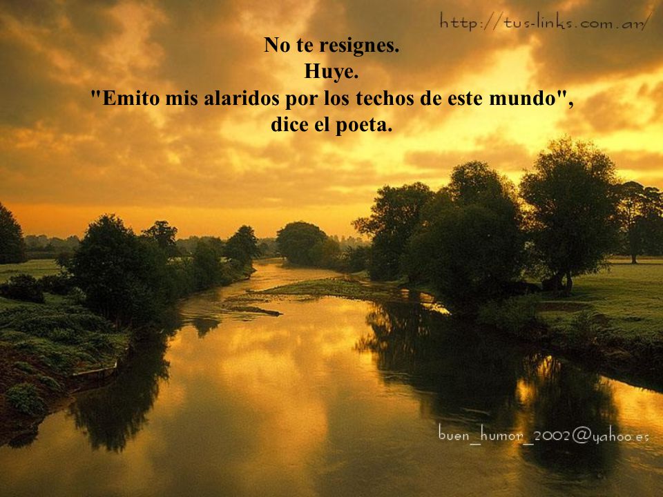 No te resignes. Huye. Emito mis alaridos por los techos de este mundo , dice el poeta.