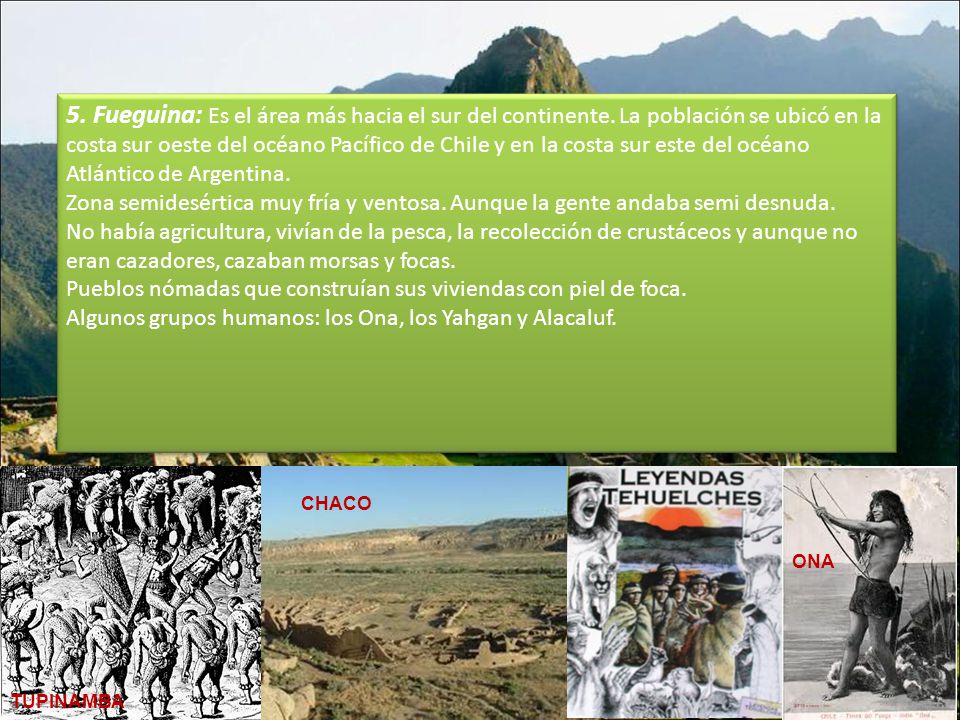 5. Fueguina: Es el área más hacia el sur del continente