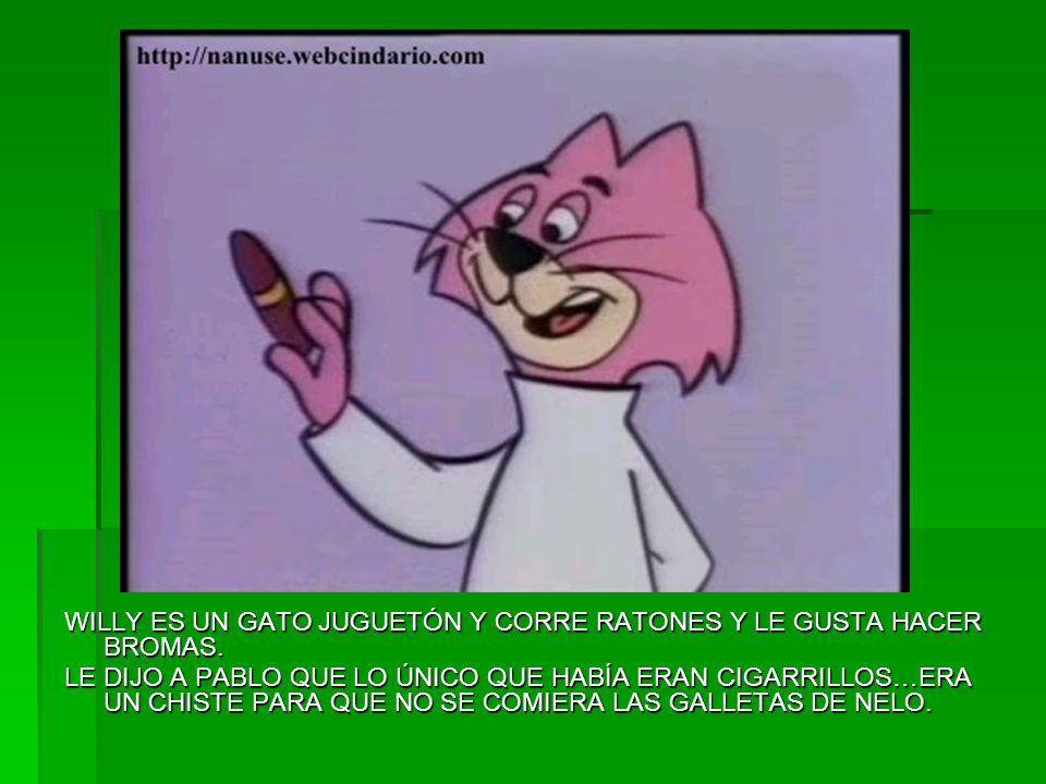 WILLY ES UN GATO JUGUETÓN Y CORRE RATONES Y LE GUSTA HACER BROMAS.