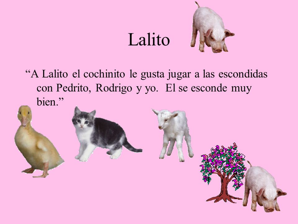 Lalito A Lalito el cochinito le gusta jugar a las escondidas con Pedrito, Rodrigo y yo.