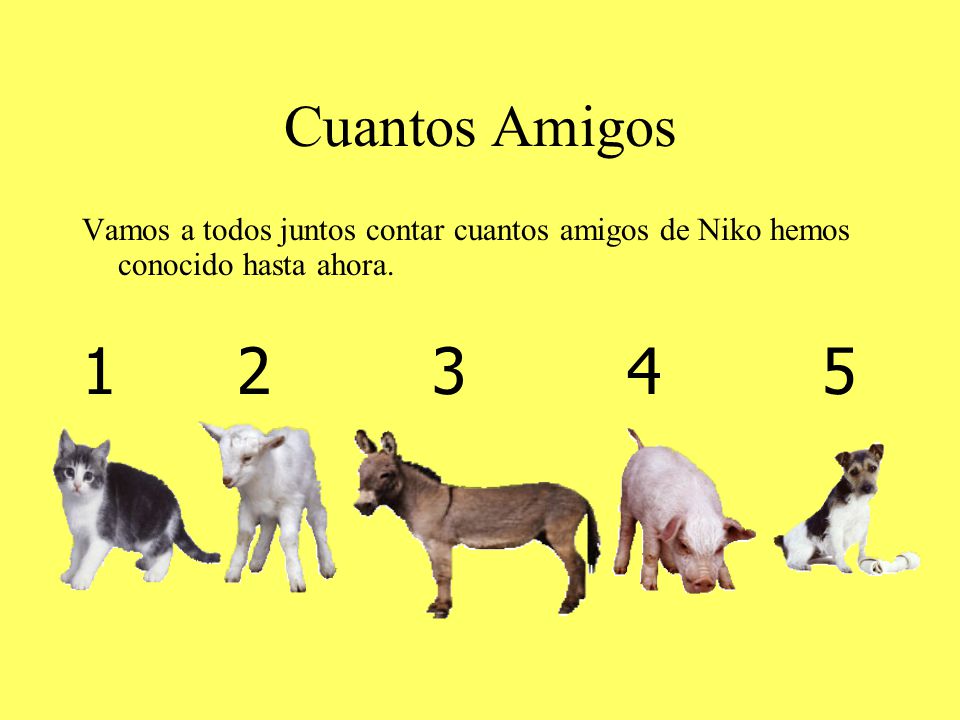 Cuantos Amigos Vamos a todos juntos contar cuantos amigos de Niko hemos conocido hasta ahora.