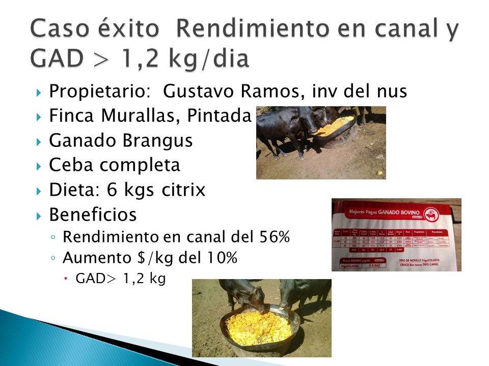 Caso éxito Rendimiento en canal y GAD > 1,2 kg/dia