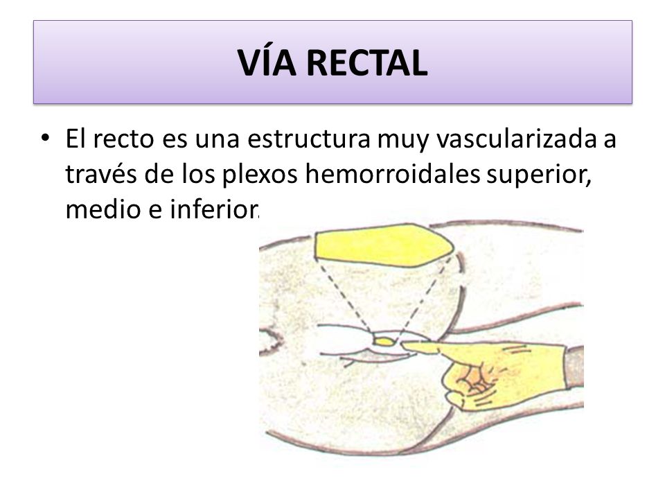 VÍA RECTAL El recto es una estructura muy vascularizada a través de los plexos hemorroidales superior, medio e inferior.