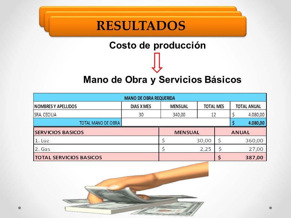 RESULTADOS Costo de producción Mano de Obra y Servicios Básicos