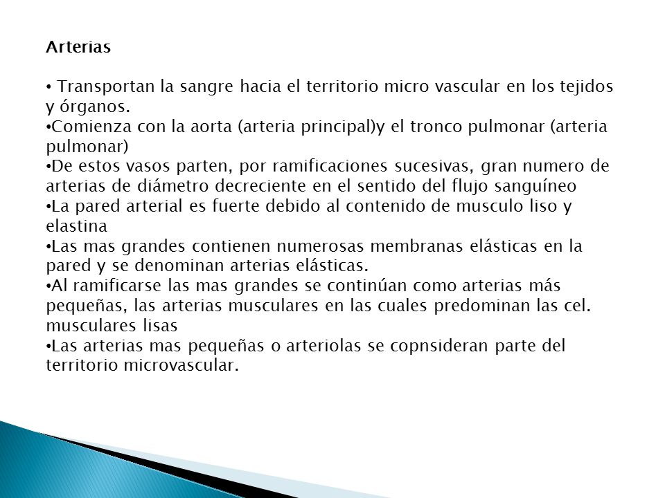 Arterias Transportan la sangre hacia el territorio micro vascular en los tejidos y órganos.
