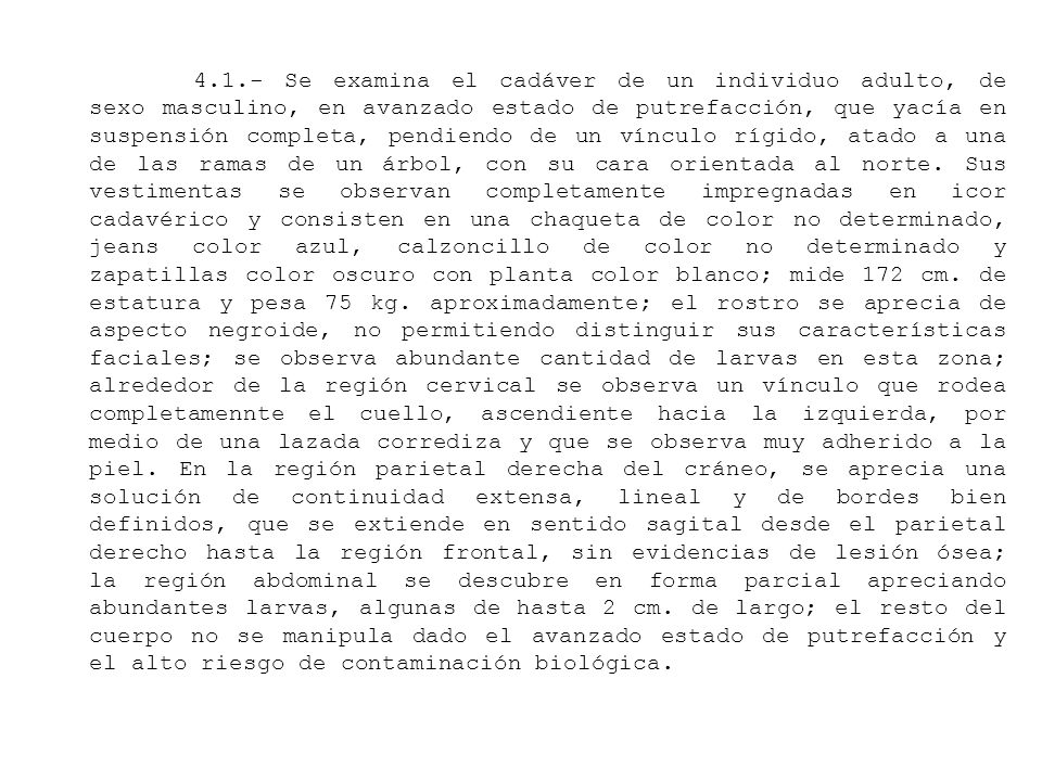 4.1.- Se examina el cadáver de un individuo adulto, de sexo masculino, en avanzado estado de putrefacción, que yacía en suspensión completa, pendiendo de un vínculo rígido, atado a una de las ramas de un árbol, con su cara orientada al norte.