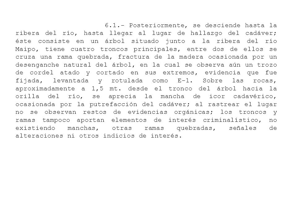 6.1.- Posteriormente, se desciende hasta la ribera del río, hasta llegar al lugar de hallazgo del cadáver; éste consiste en un árbol situado junto a la ribera del río Maipo, tiene cuatro troncos principales, entre dos de ellos se cruza una rama quebrada, fractura de la madera ocasionada por un desenganche natural del árbol, en la cual se observa aún un trozo de cordel atado y cortado en sus extremos, evidencia que fue fijada, levantada y rotulada como E-1.