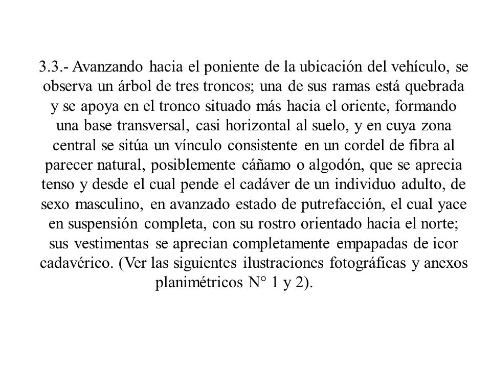 3.3.- Avanzando hacia el poniente de la ubicación del vehículo, se observa un árbol de tres troncos; una de sus ramas está quebrada y se apoya en el tronco situado más hacia el oriente, formando una base transversal, casi horizontal al suelo, y en cuya zona central se sitúa un vínculo consistente en un cordel de fibra al parecer natural, posiblemente cáñamo o algodón, que se aprecia tenso y desde el cual pende el cadáver de un individuo adulto, de sexo masculino, en avanzado estado de putrefacción, el cual yace en suspensión completa, con su rostro orientado hacia el norte; sus vestimentas se aprecian completamente empapadas de icor cadavérico.