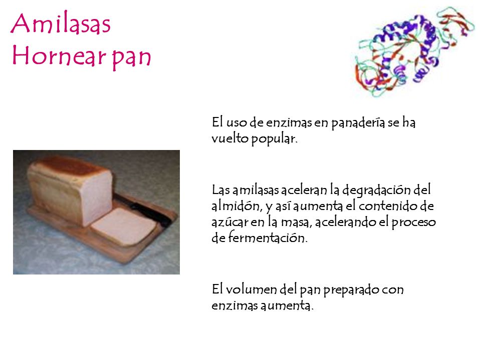 Amilasas Hornear pan. El uso de enzimas en panadería se ha vuelto popular.
