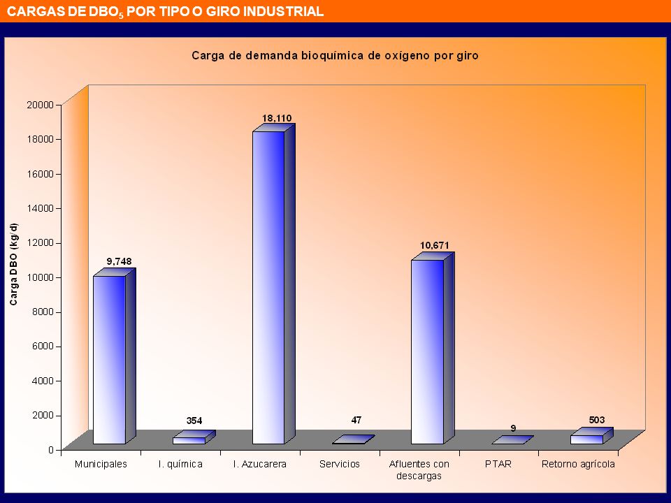 CARGAS DE DBO5 POR TIPO O GIRO INDUSTRIAL