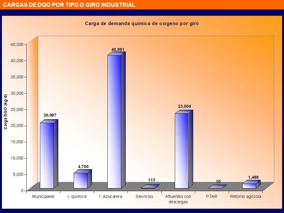 CARGAS DE DQO POR TIPO O GIRO INDUSTRIAL