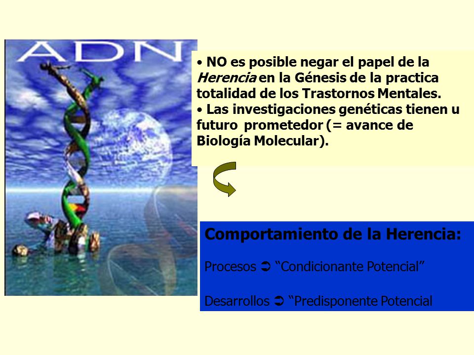 Comportamiento de la Herencia: