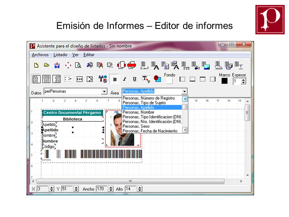 Emisión de Informes – Editor de informes