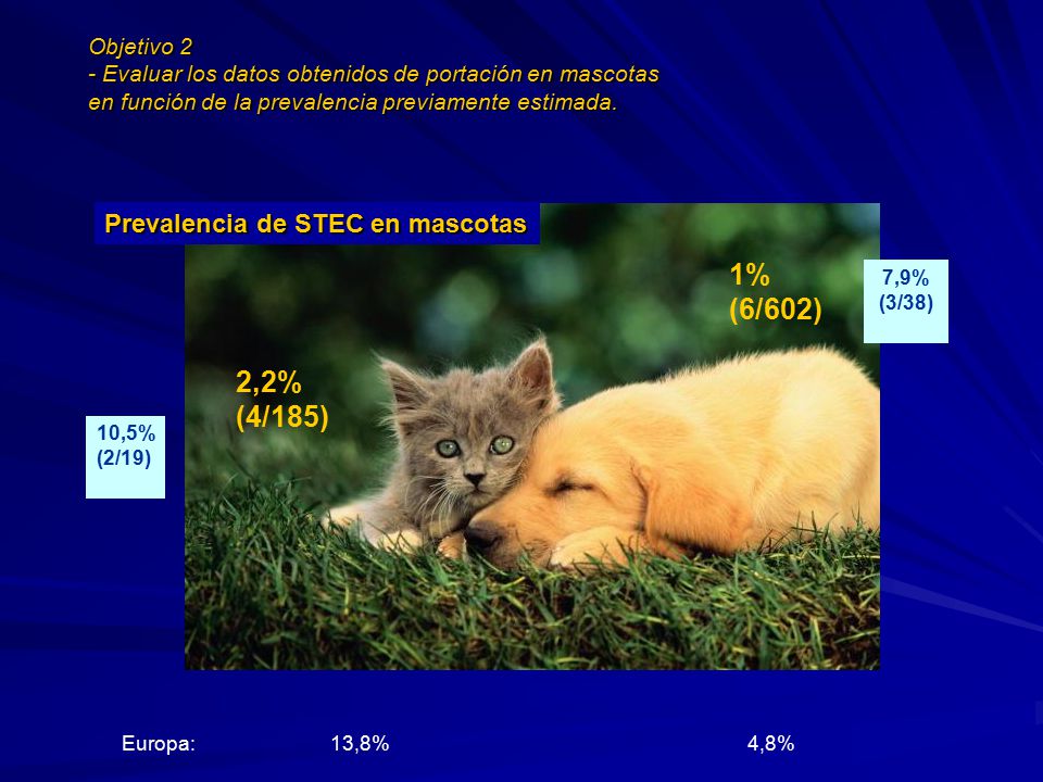 1% (6/602) 2,2% (4/185) Prevalencia de STEC en mascotas Objetivo 2