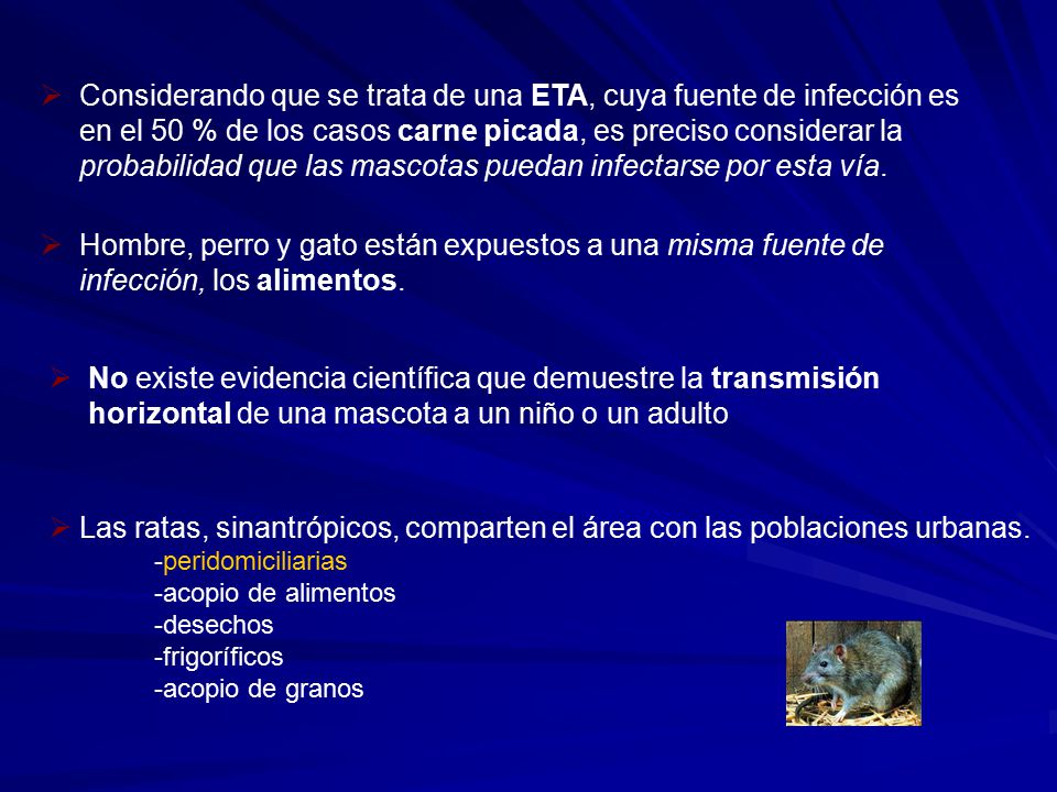 Considerando que se trata de una ETA, cuya fuente de infección es en el 50 % de los casos carne picada, es preciso considerar la probabilidad que las mascotas puedan infectarse por esta vía.