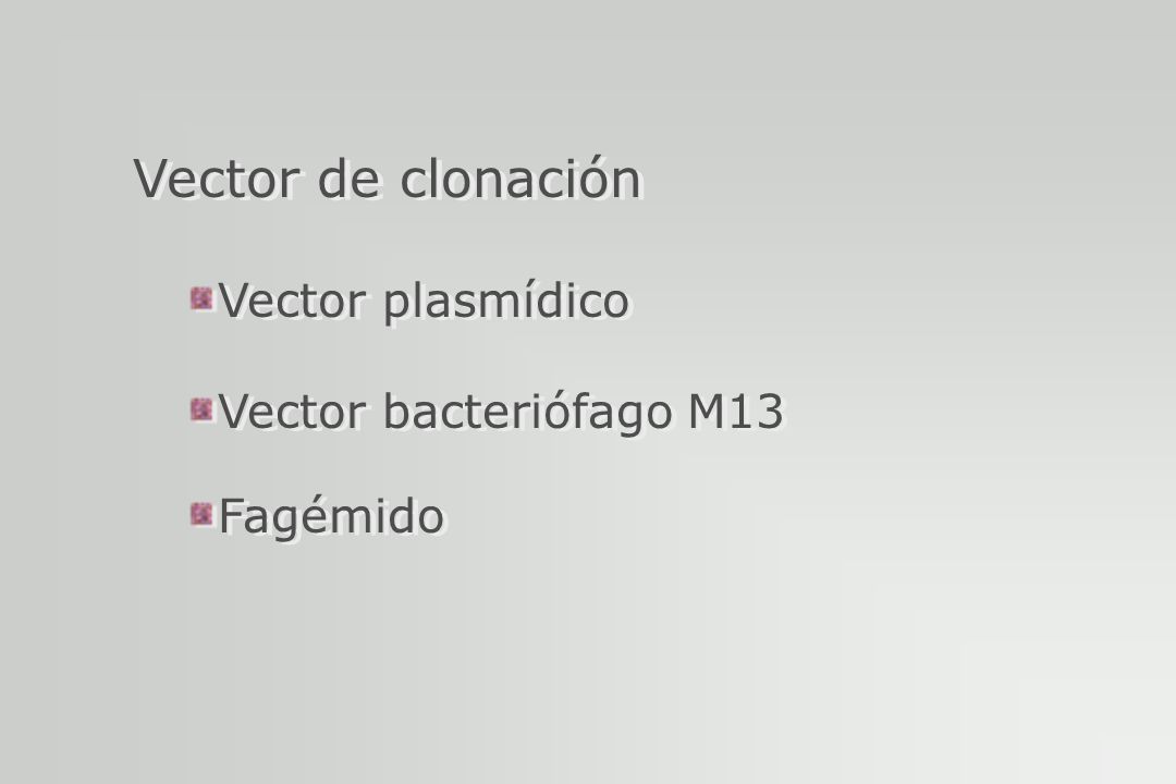 Vector de clonación Vector plasmídico Vector bacteriófago M13 Fagémido