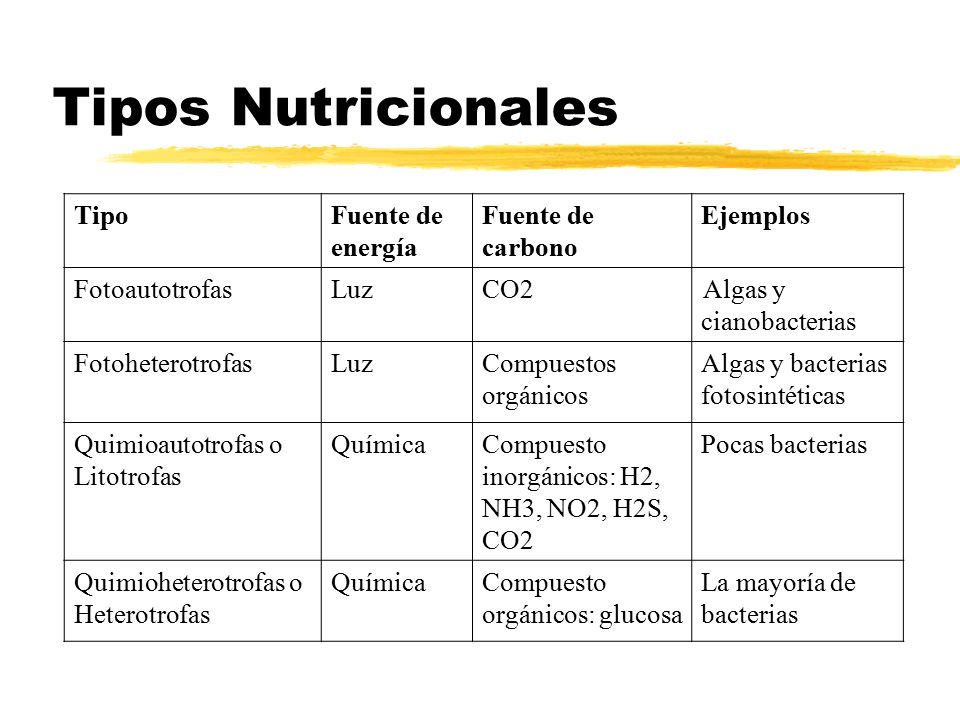 Tipos Nutricionales Tipo Fuente de energía Fuente de carbono Ejemplos