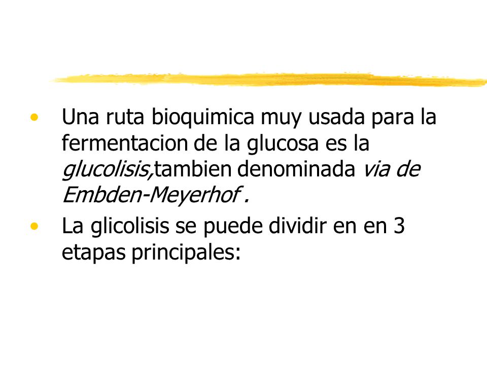 Una ruta bioquimica muy usada para la fermentacion de la glucosa es la glucolisis,tambien denominada via de Embden-Meyerhof .