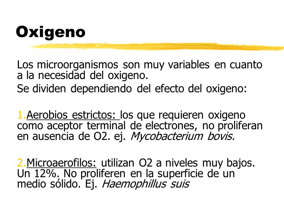 Oxigeno Los microorganismos son muy variables en cuanto a la necesidad del oxigeno. Se dividen dependiendo del efecto del oxigeno: