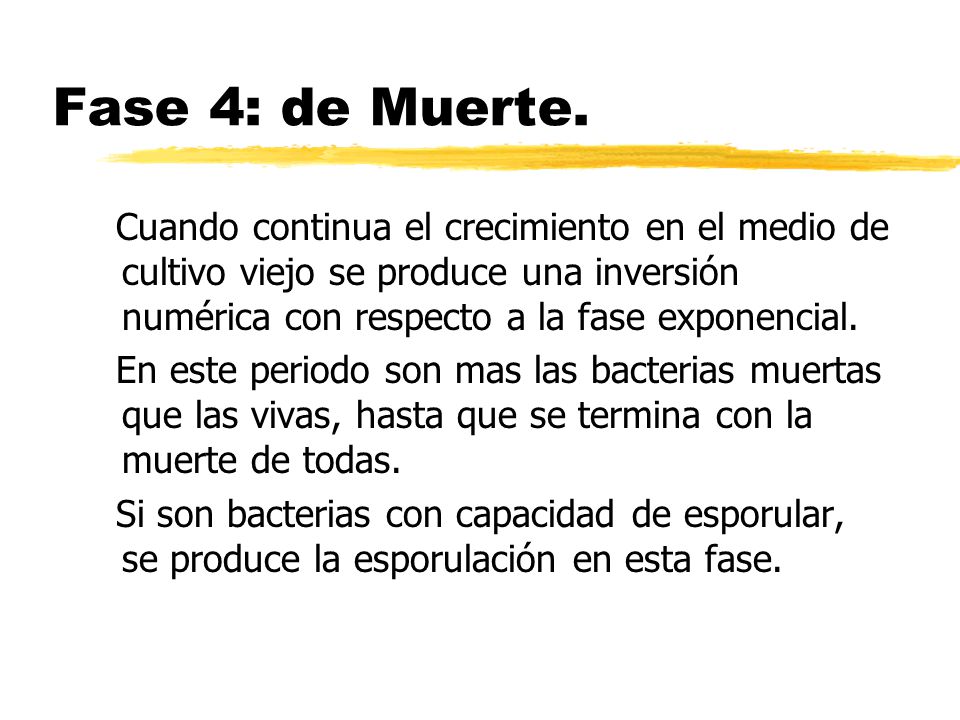 Fase 4: de Muerte. Cuando continua el crecimiento en el medio de cultivo viejo se produce una inversión numérica con respecto a la fase exponencial.