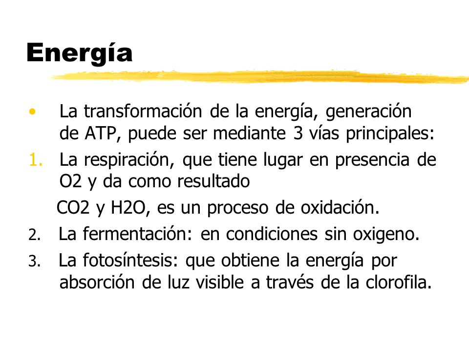 Energía La transformación de la energía, generación de ATP, puede ser mediante 3 vías principales: