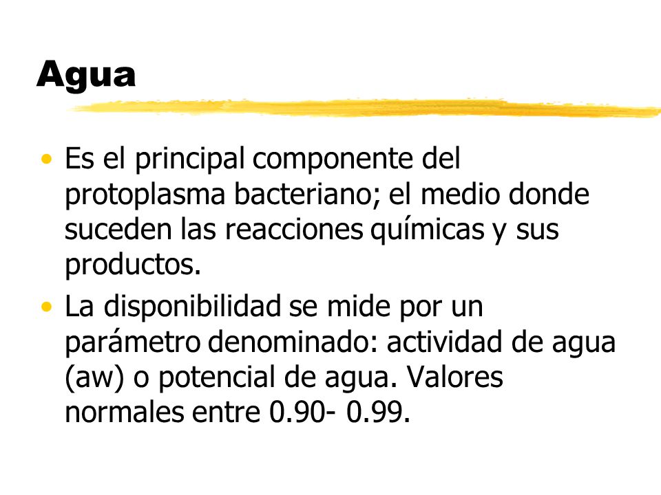 Agua Es el principal componente del protoplasma bacteriano; el medio donde suceden las reacciones químicas y sus productos.