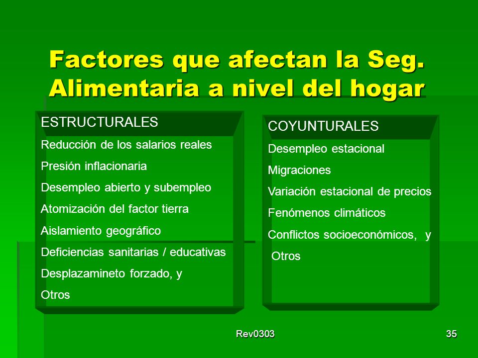 Factores que afectan la Seg. Alimentaria a nivel del hogar