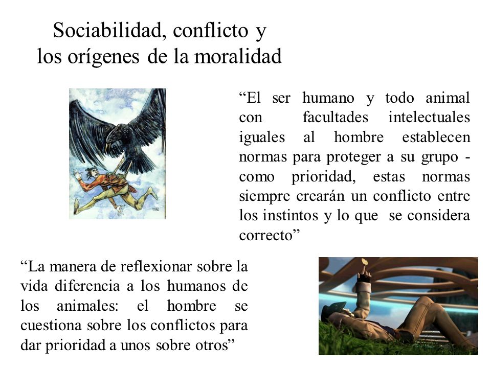 Sociabilidad, conflicto y los orígenes de la moralidad
