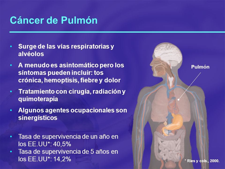 Cáncer de Pulmón Surge de las vías respiratorias y alvéolos