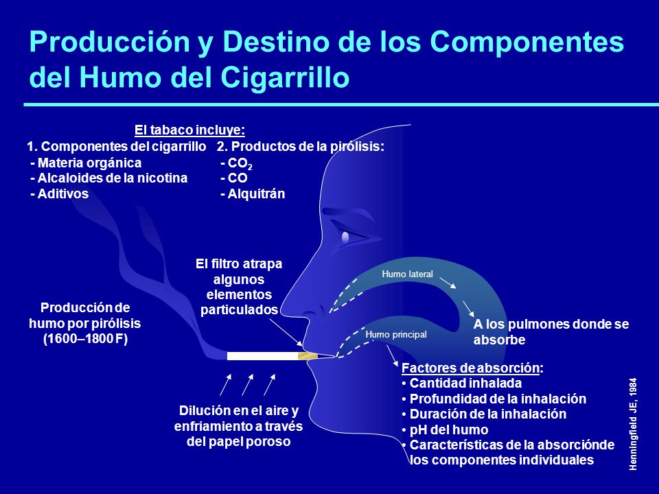 Producción y Destino de los Componentes del Humo del Cigarrillo