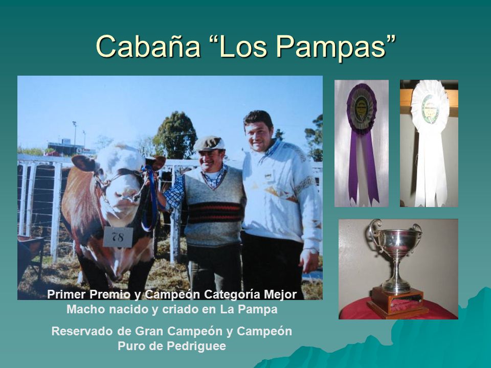 Reservado de Gran Campeón y Campeón Puro de Pedriguee